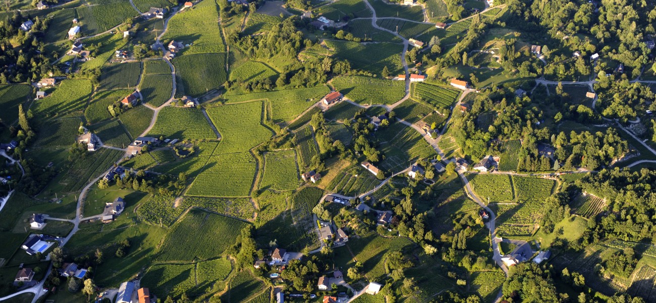 Kamperen in de buurt van de wijngaarden van Savoie